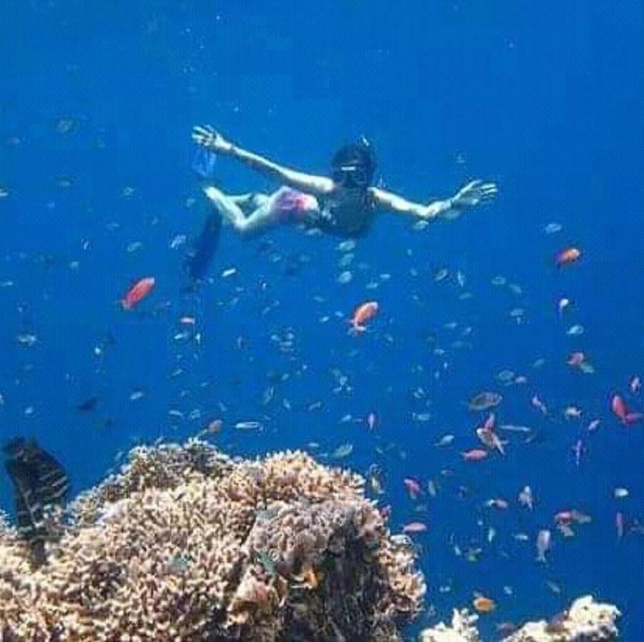 Taman Menjangan Homestay By Snorkelingmenjangan Banyuwedang Екстер'єр фото